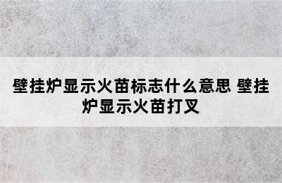 壁挂炉显示火苗标志什么意思 壁挂炉显示火苗打叉